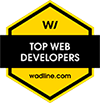 Top Web Development Companies in Румыния