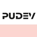 Студия Разработки и Дизайна PuDEV