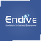 Endive Software