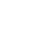 One Solution