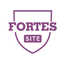 Веб-студия Fortes site