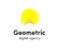 Geometric Digital Agency