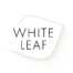 White Leaf