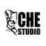 CHESTUDIO