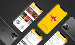 Мобильное приложение и сайт для интернет-универсама "Жар.Птица"