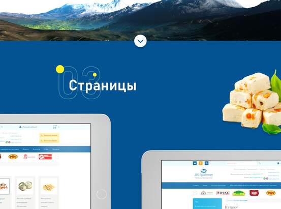 Создание сайта для лидера поставок продуктов из Казахстана 