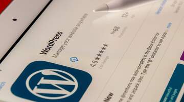 Выбор в пользу WordPress