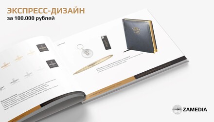 Экспресс-дизайн фирменного стиля или упаковки за 100 тысяч рублей