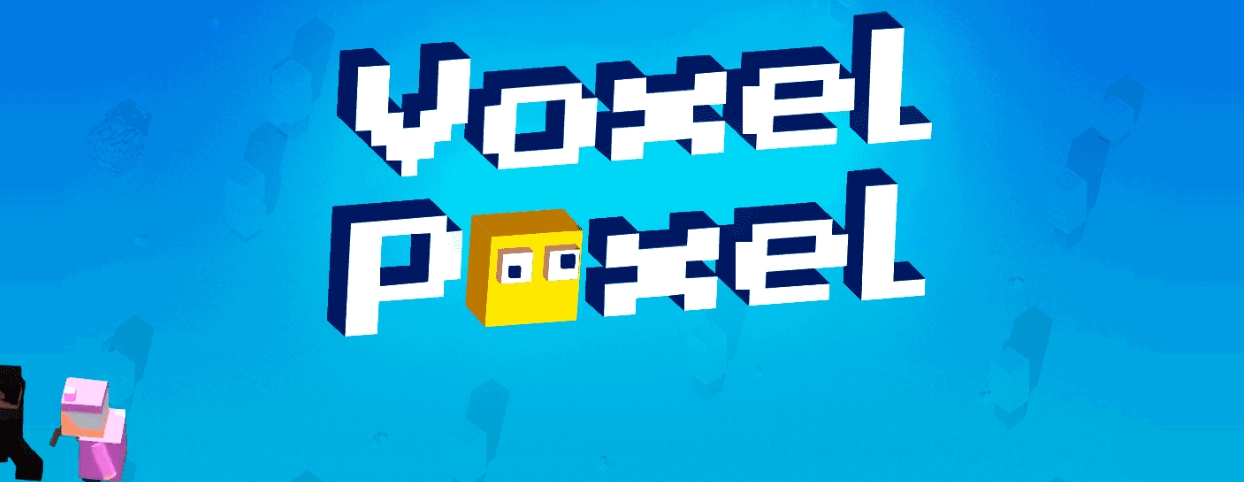 VOXEL POXEL