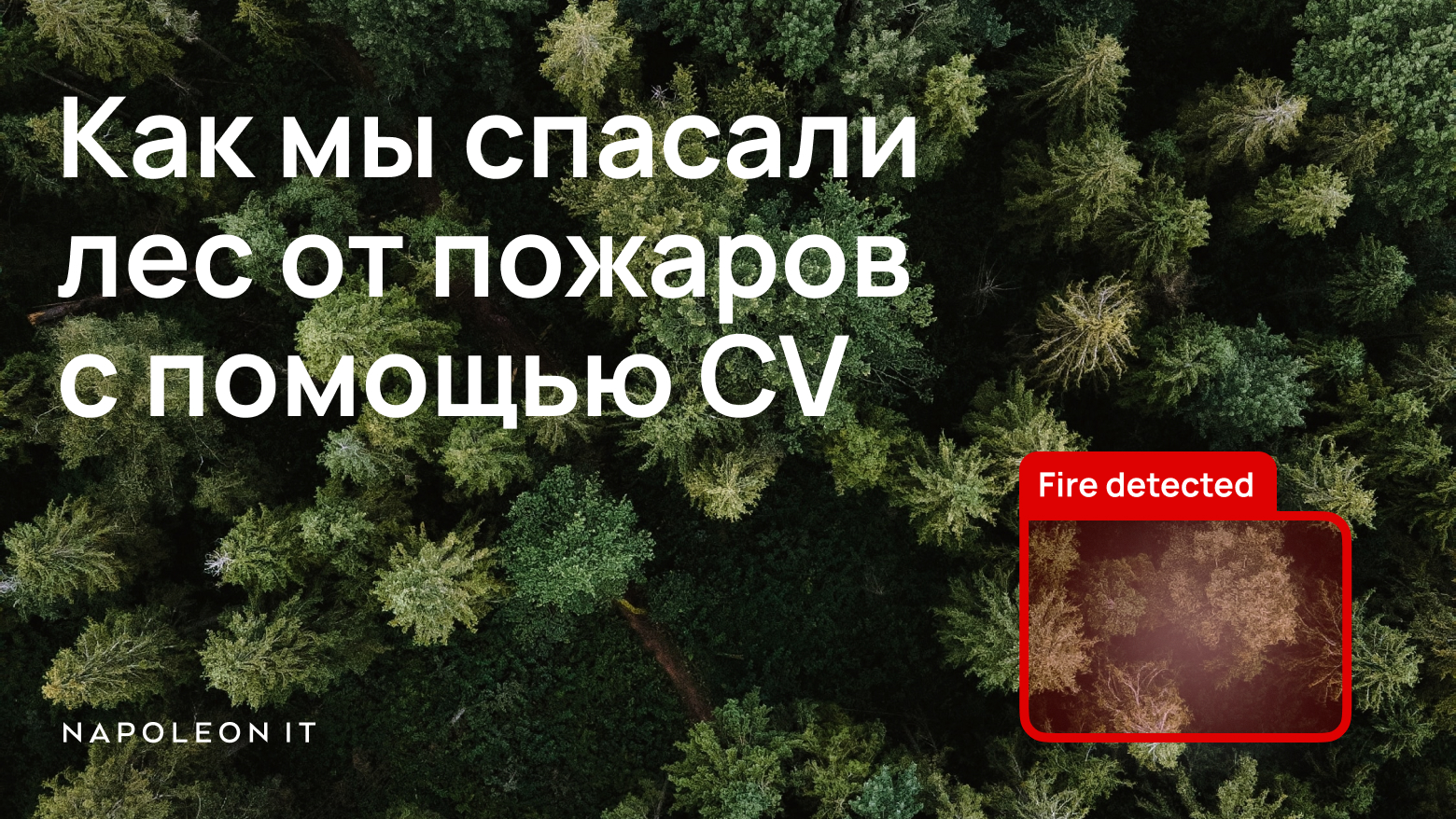 Спасение леса от пожара с помощью CV