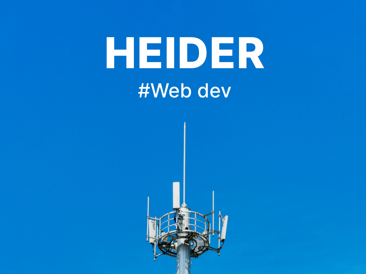 Телекоммуникационная компания HEIDER DEV