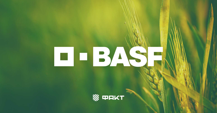 B2B-портал химического концерна BASF