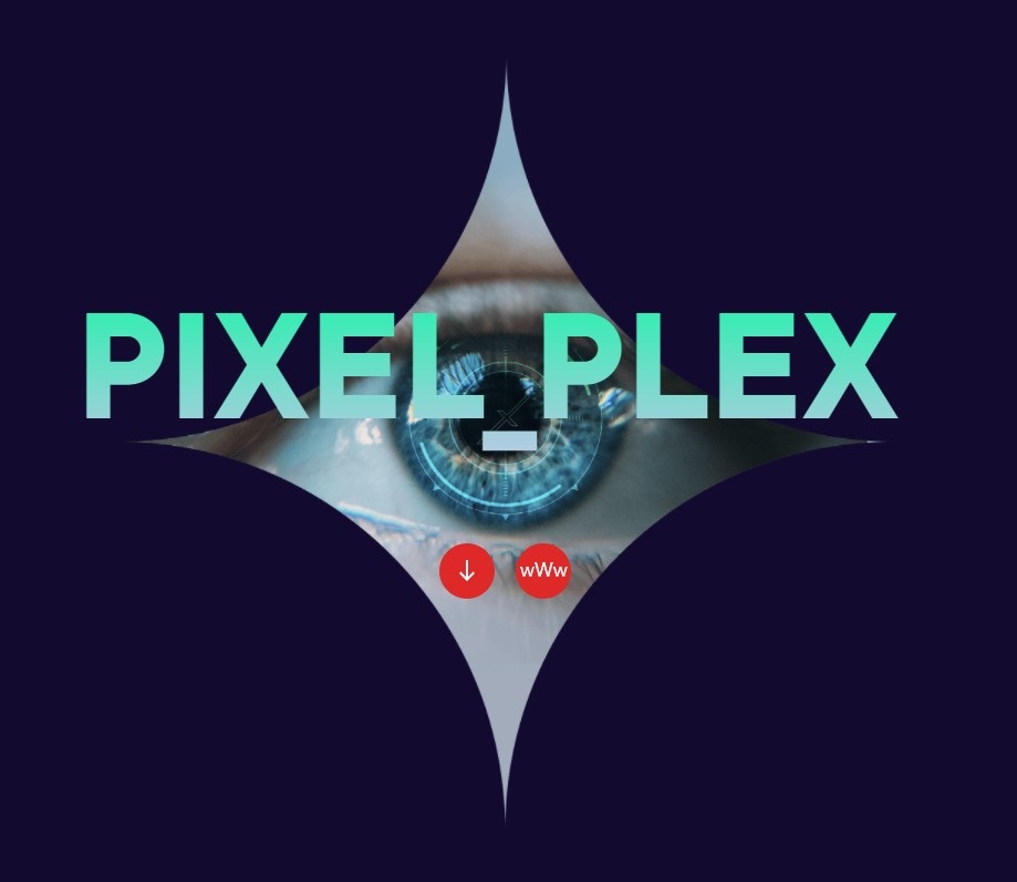 PIXEL_PLEX