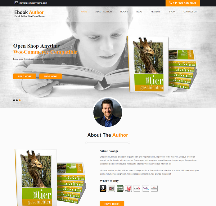 consultant WordPress theme