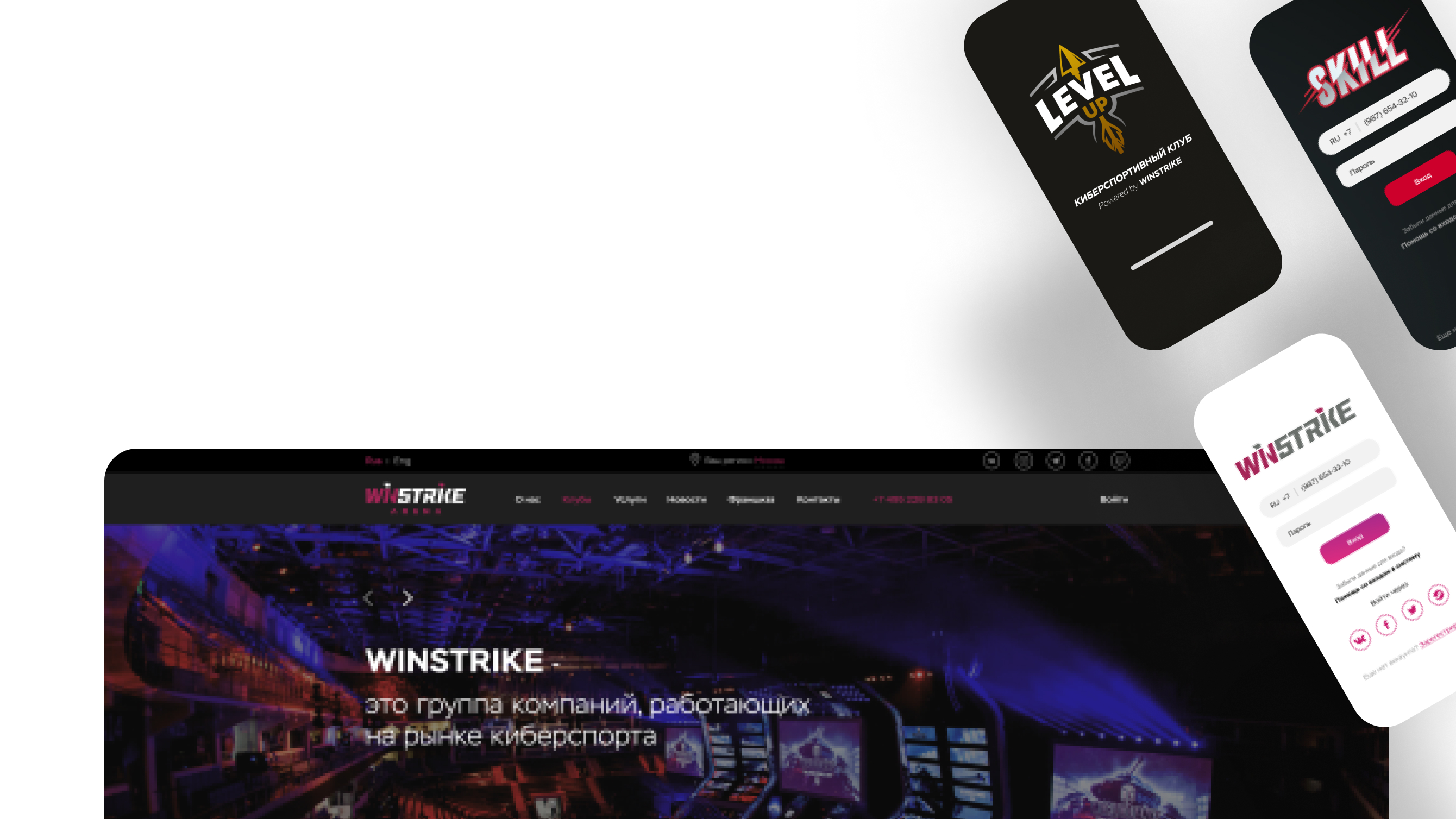 Комплексное ПО для киберспортивной платформы Winstrike