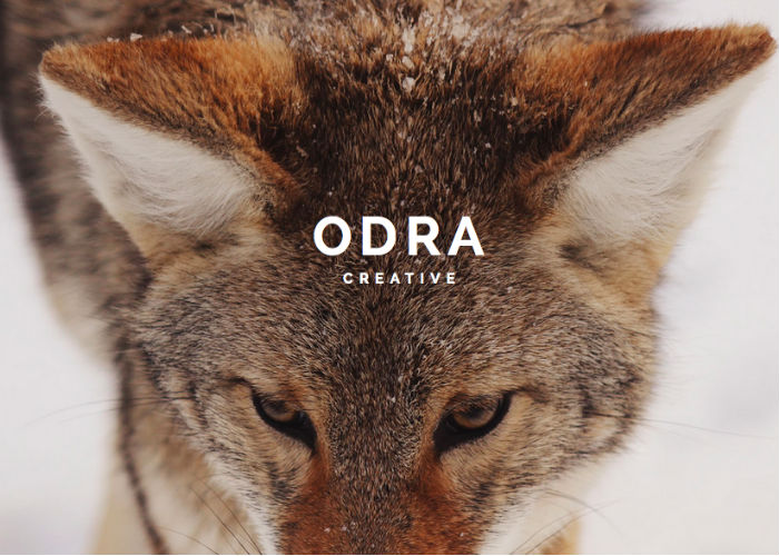 ODRA - Creative Multi-Purpose WordPress Theme