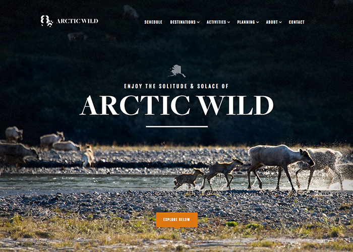 Arctic Wild